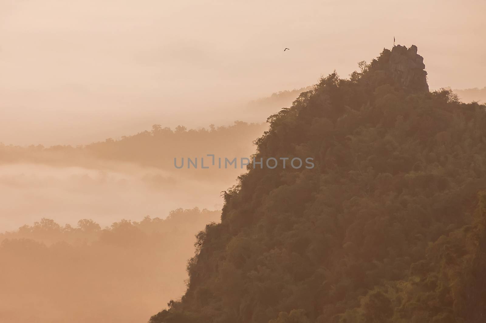 Beautiful morning with fog between hills at Doi Pha Chu in Si Nan National Park , High mountain in Nan province, Thailand