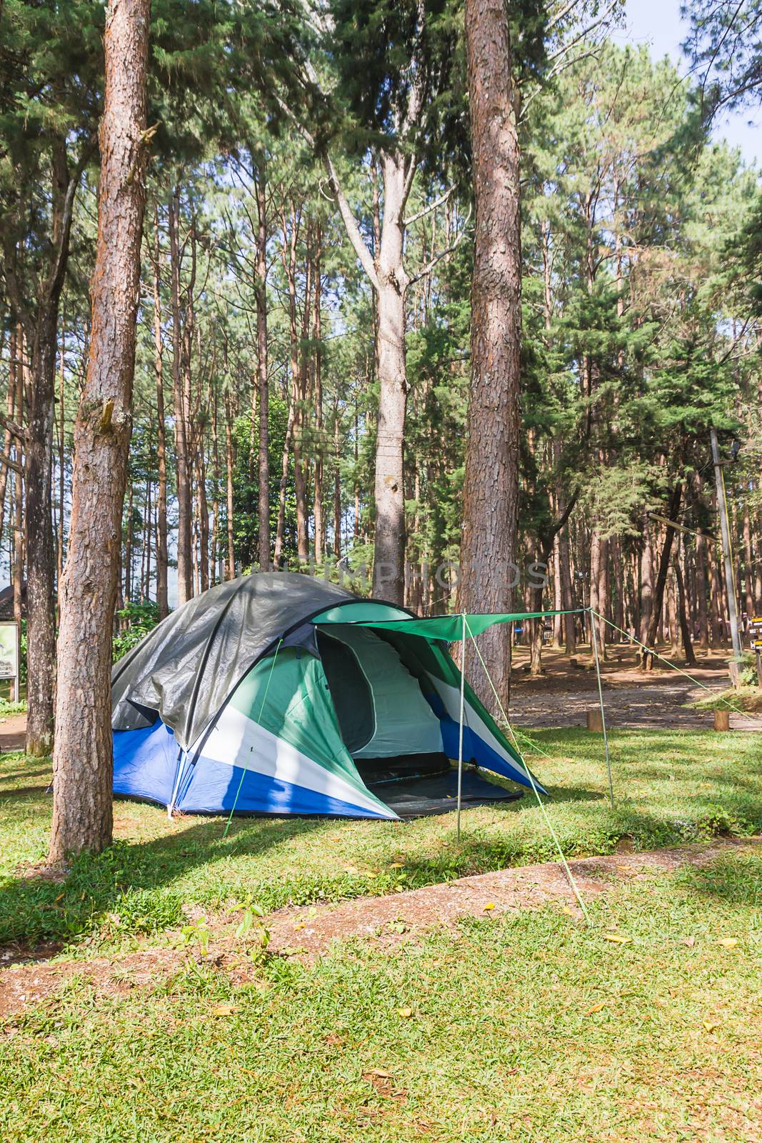 Dome tent camping in forest by stoonn