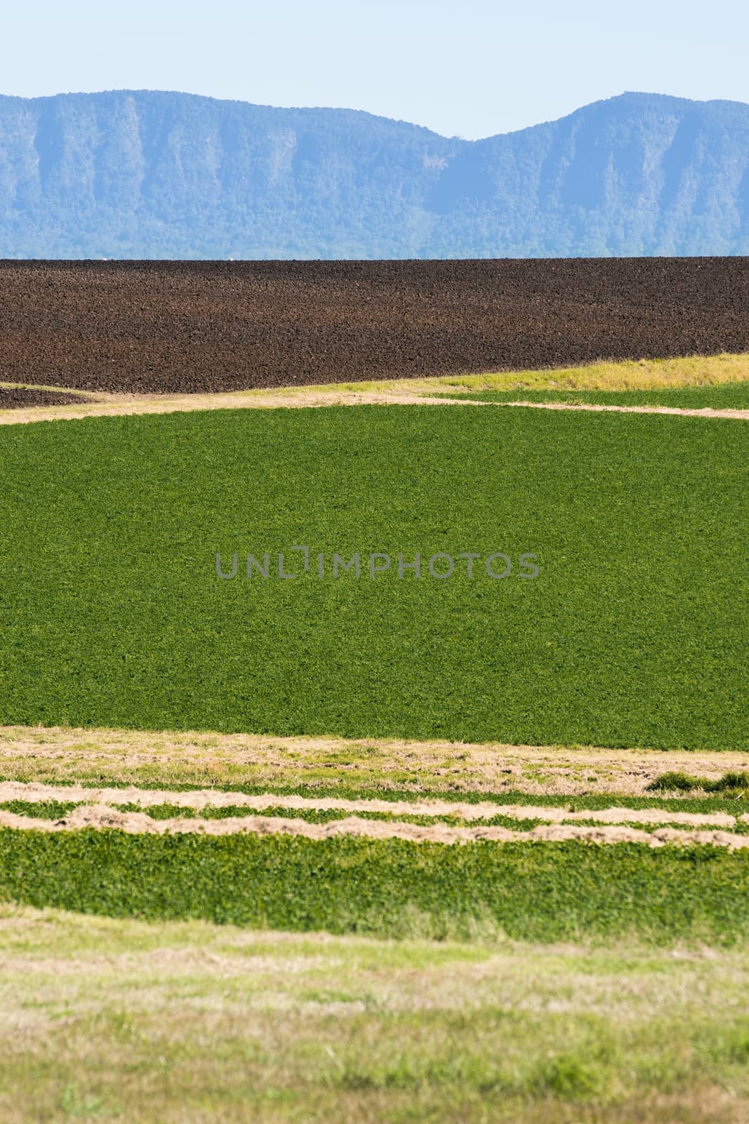 Country agricultural and farming field in Queensland during the day.