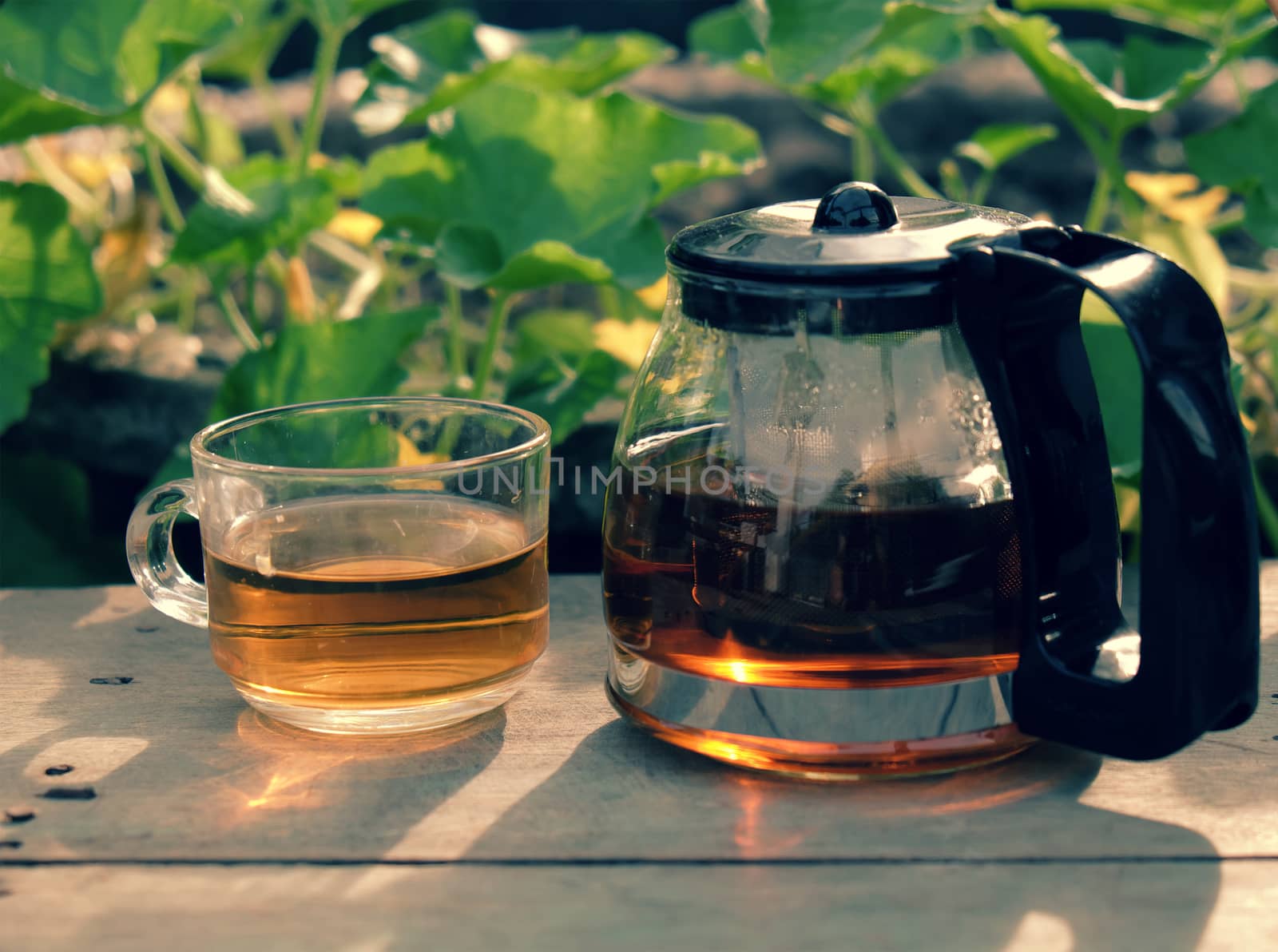 Happy lifestyle with tea pot and cup at garden, relaxation when enjoy a drink at tea time
