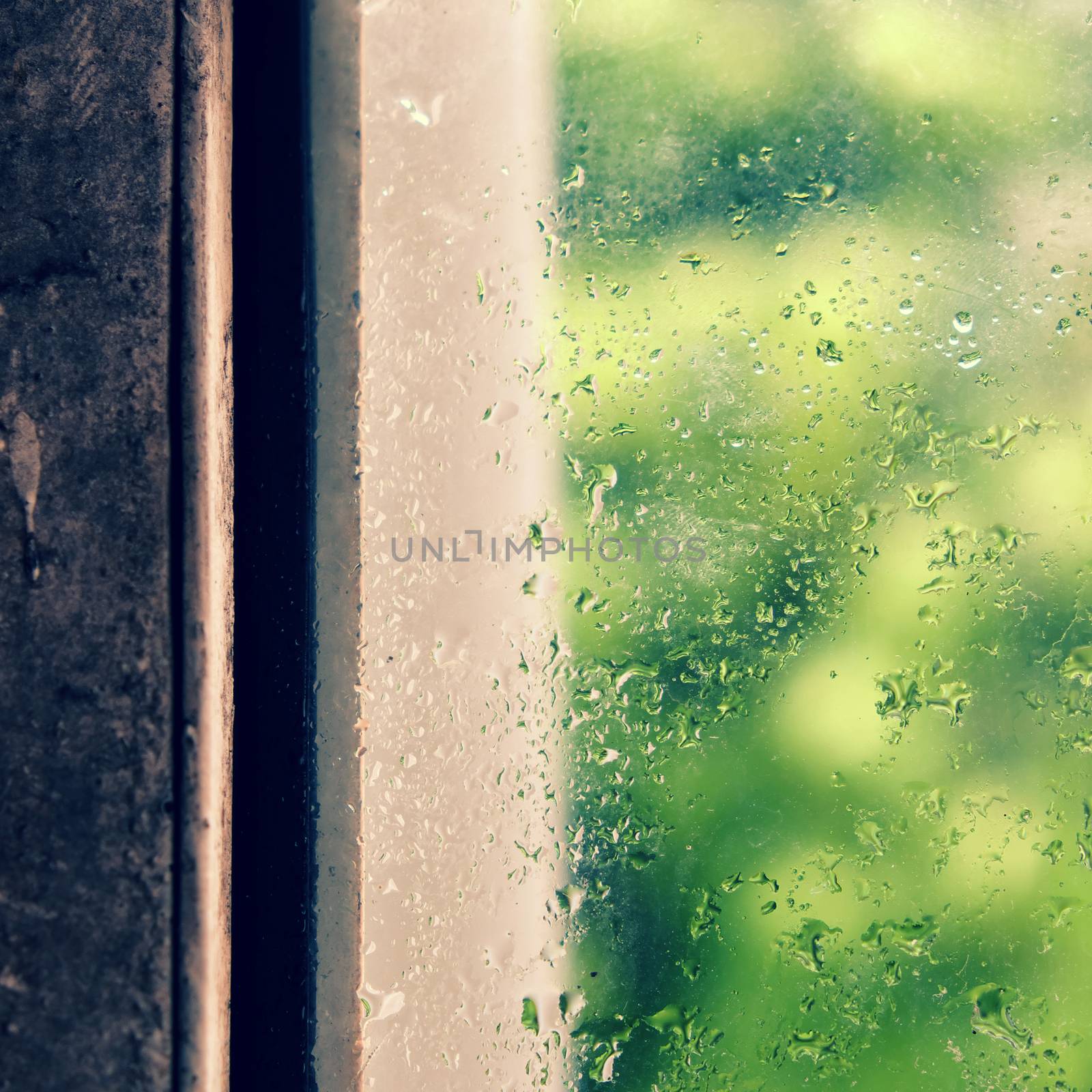 Rain drop on window in rainy day, glass with green background as seperation, nice background for love