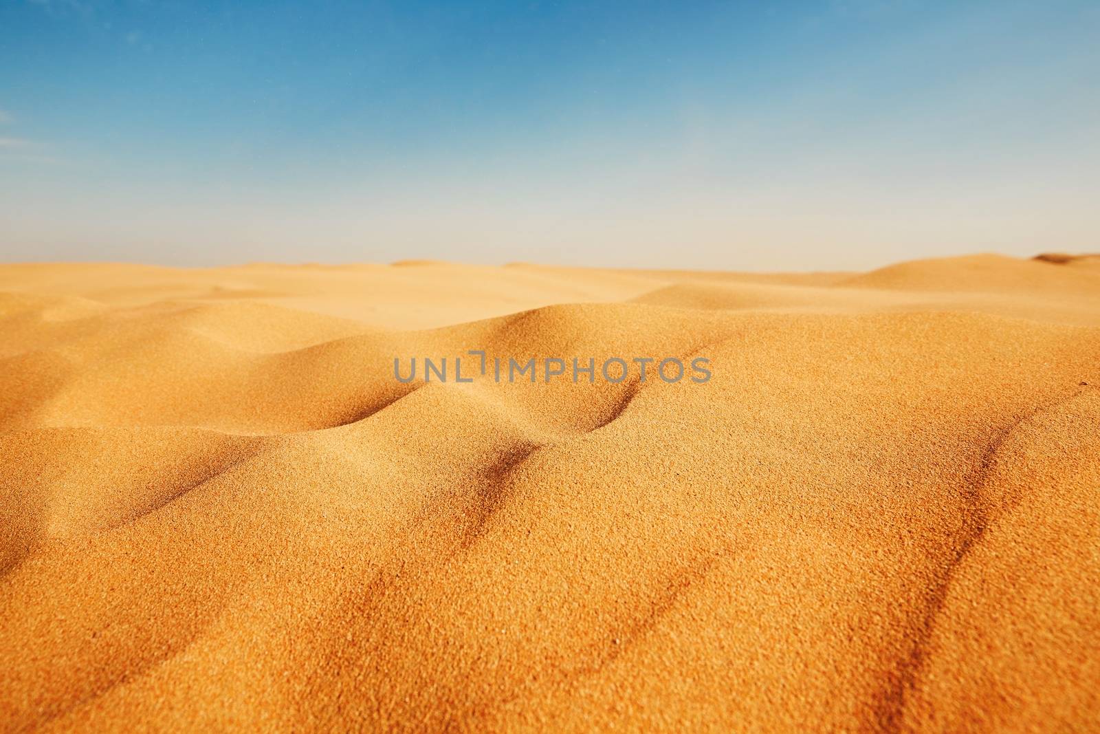 Dune of the sand - Sunny day in desert 