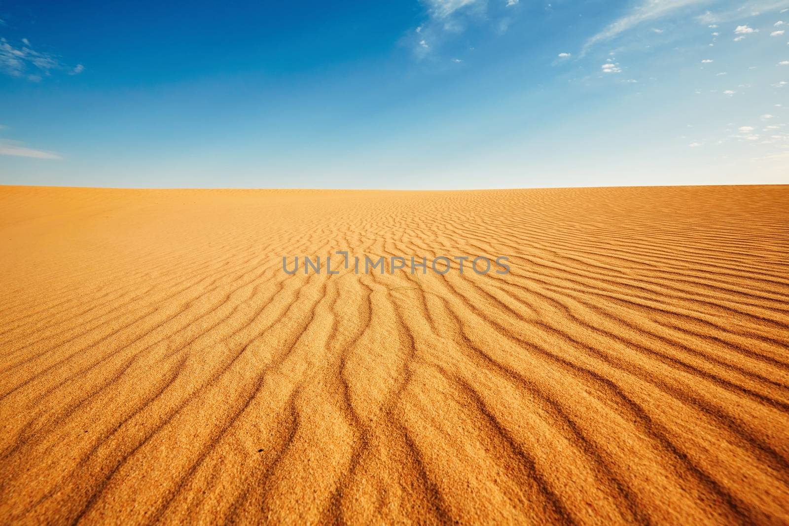 Dune of the sand - Sunny day in desert 