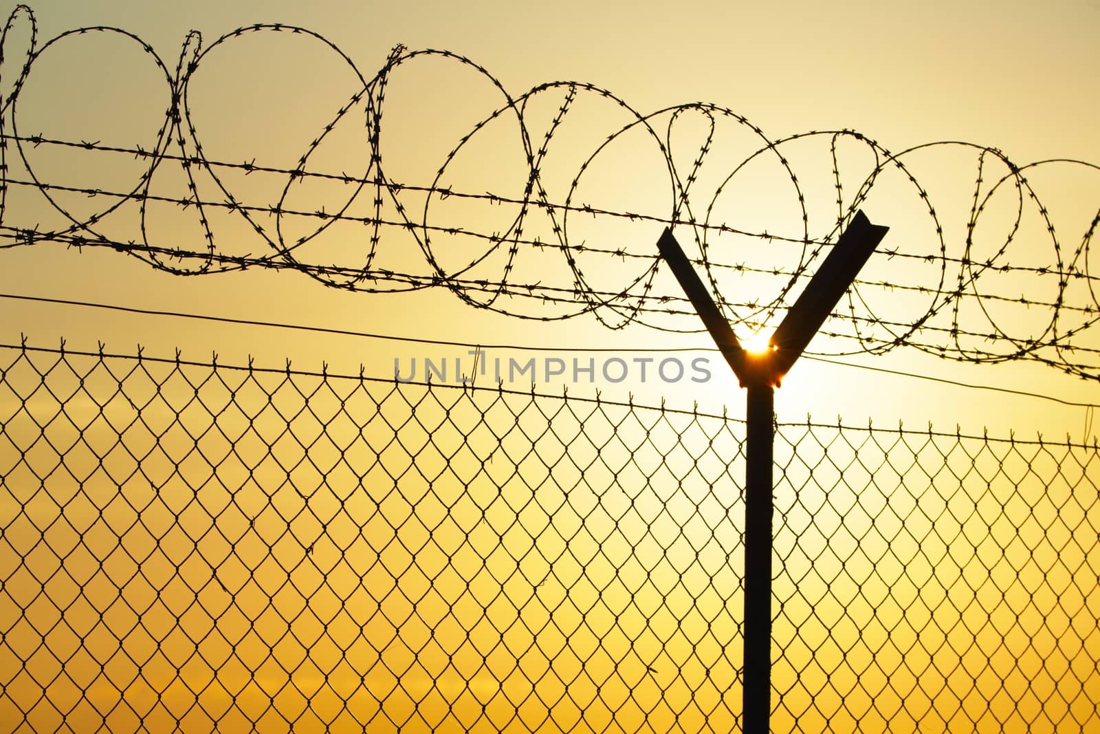Fence covered with barbed razor wire.