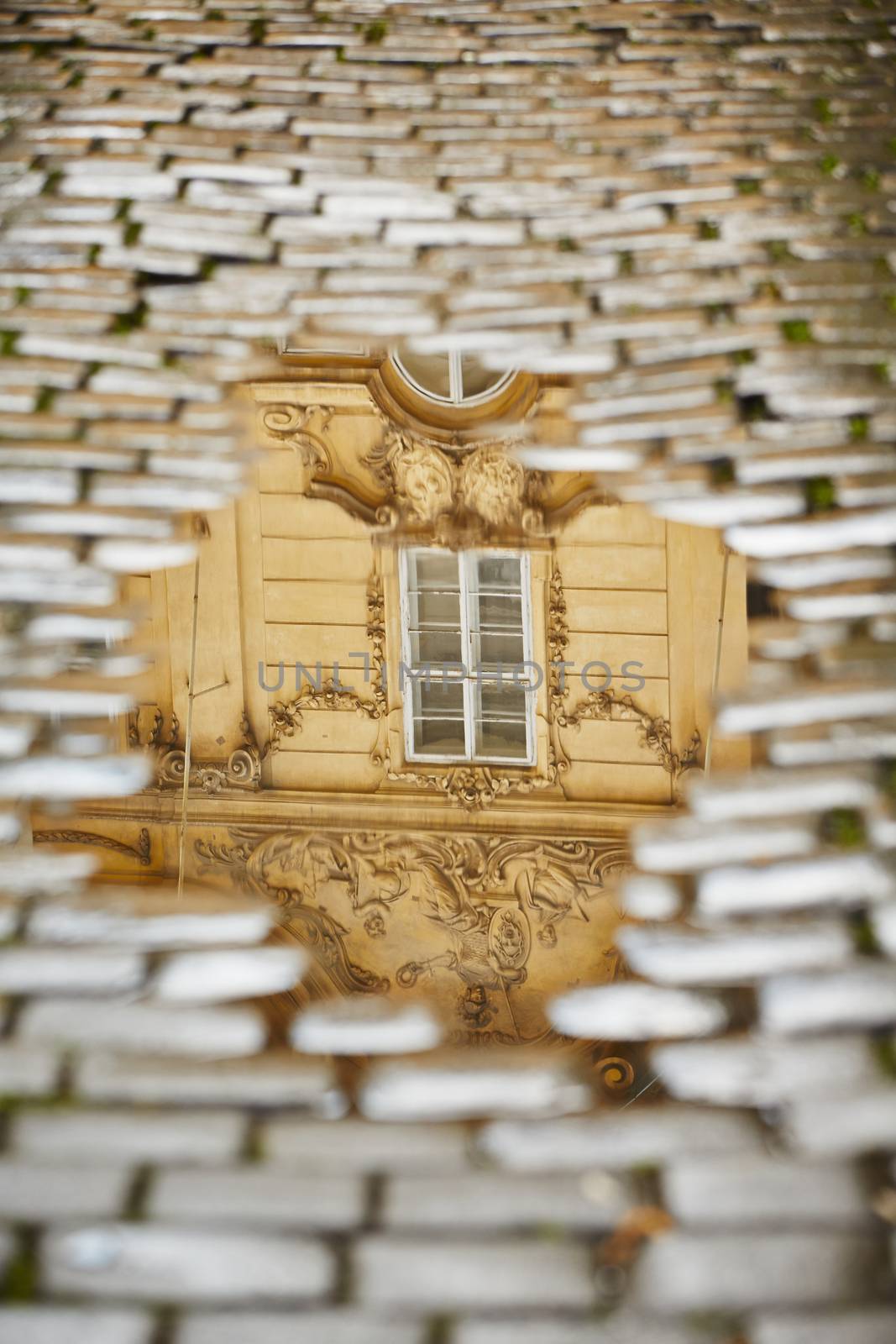 After rain in Prague - reflection of the house in puddle