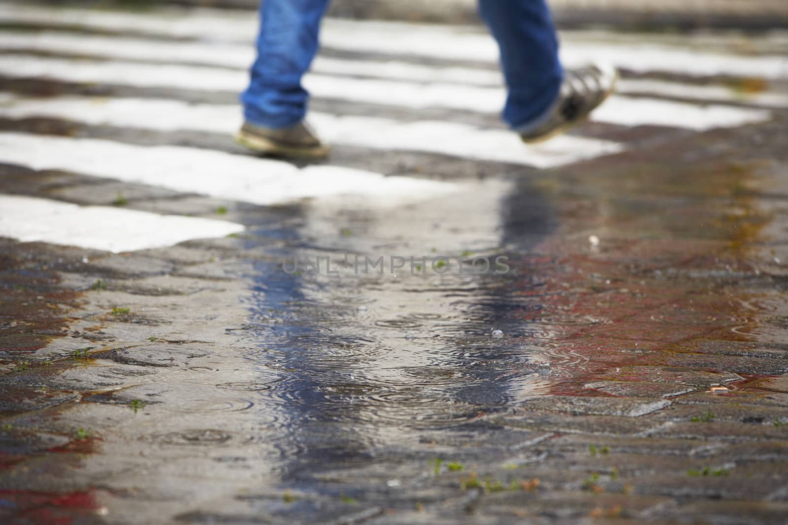 Man is walking on the zebra crossing in rain - selective focus