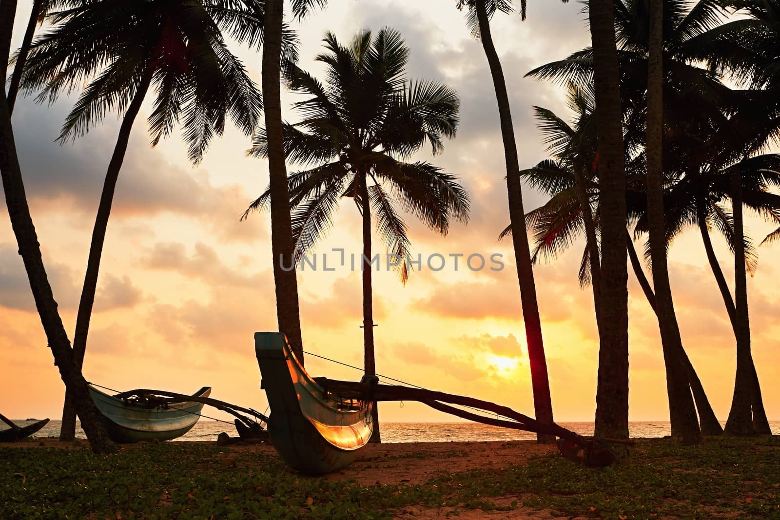 Silhouette of the fishing boats under palms. Idyllic sunset on the beach near Hikkaduwa in Sri Lanka.
