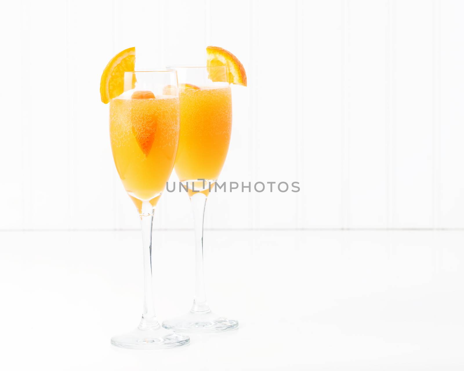 Mimosa by billberryphotography