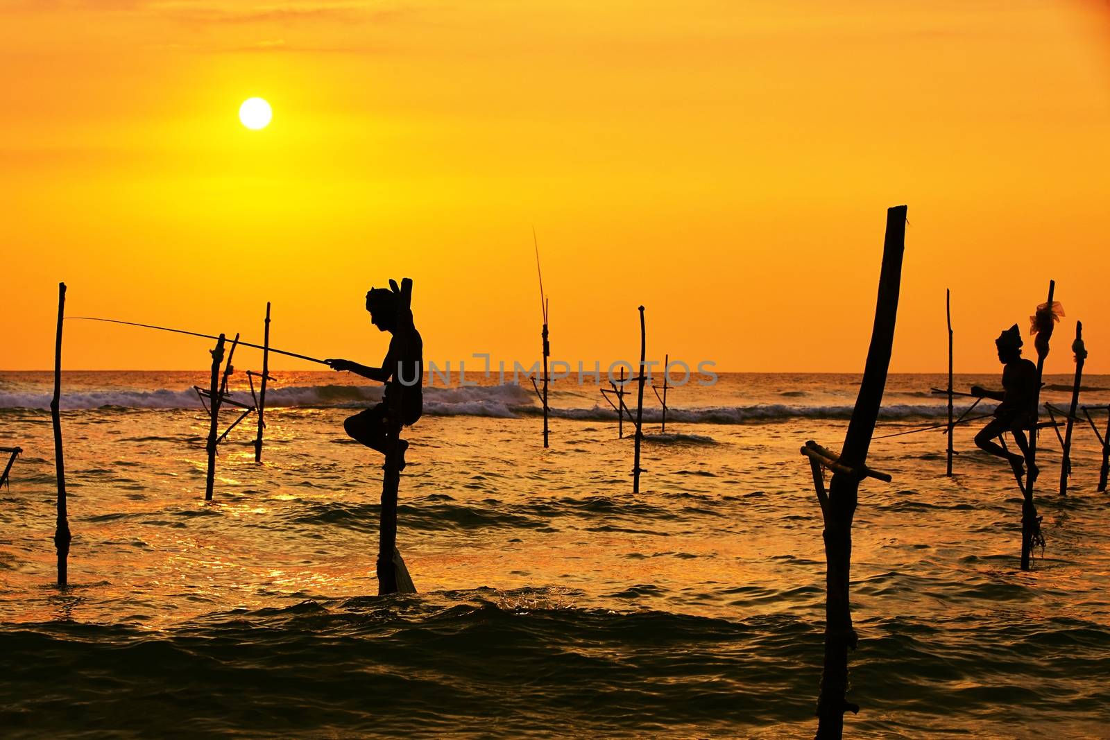 Silhouettes of the traditional fishermen at the sunset in Sri Lanka. 