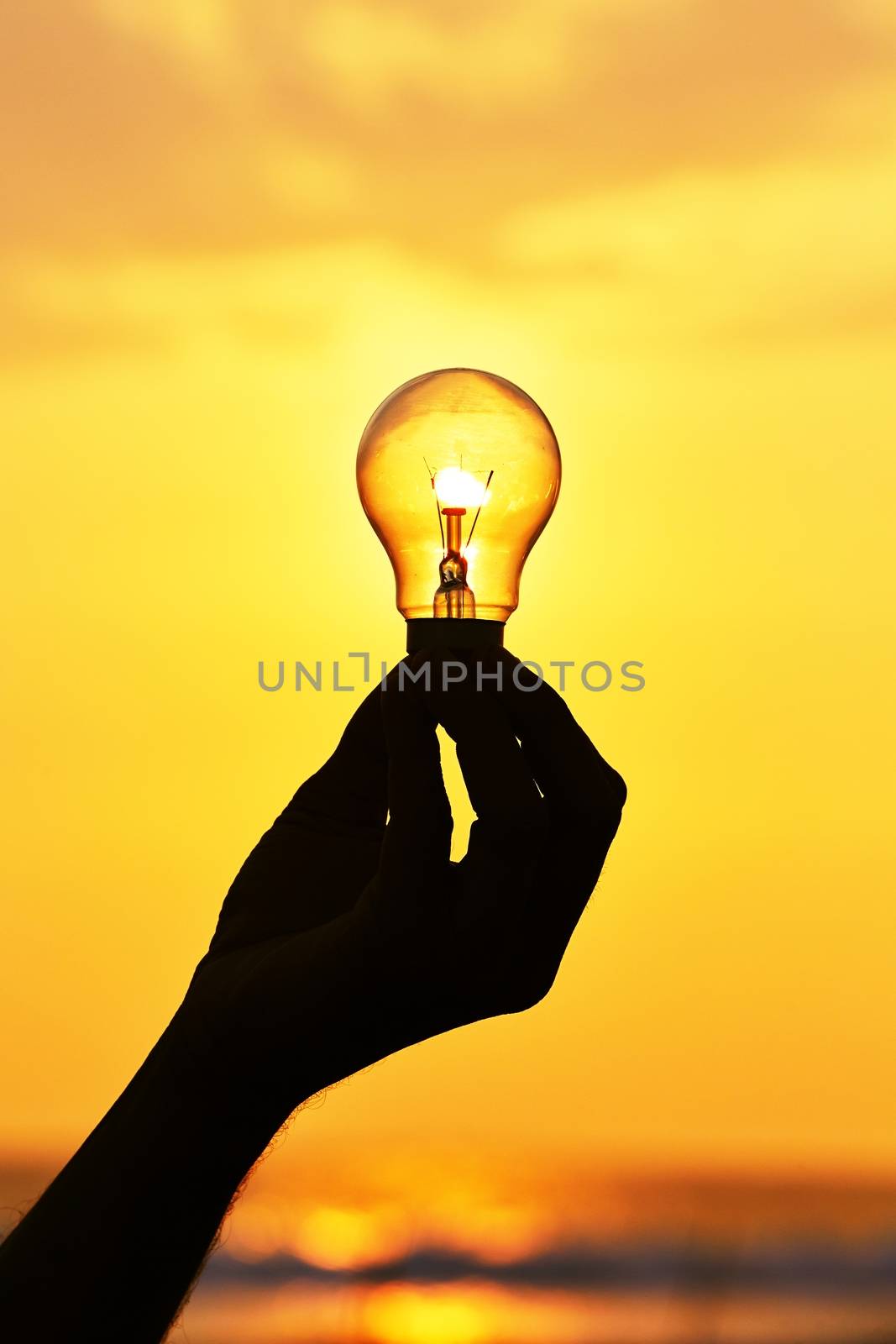 Silhouette of a light bulb at sunset.