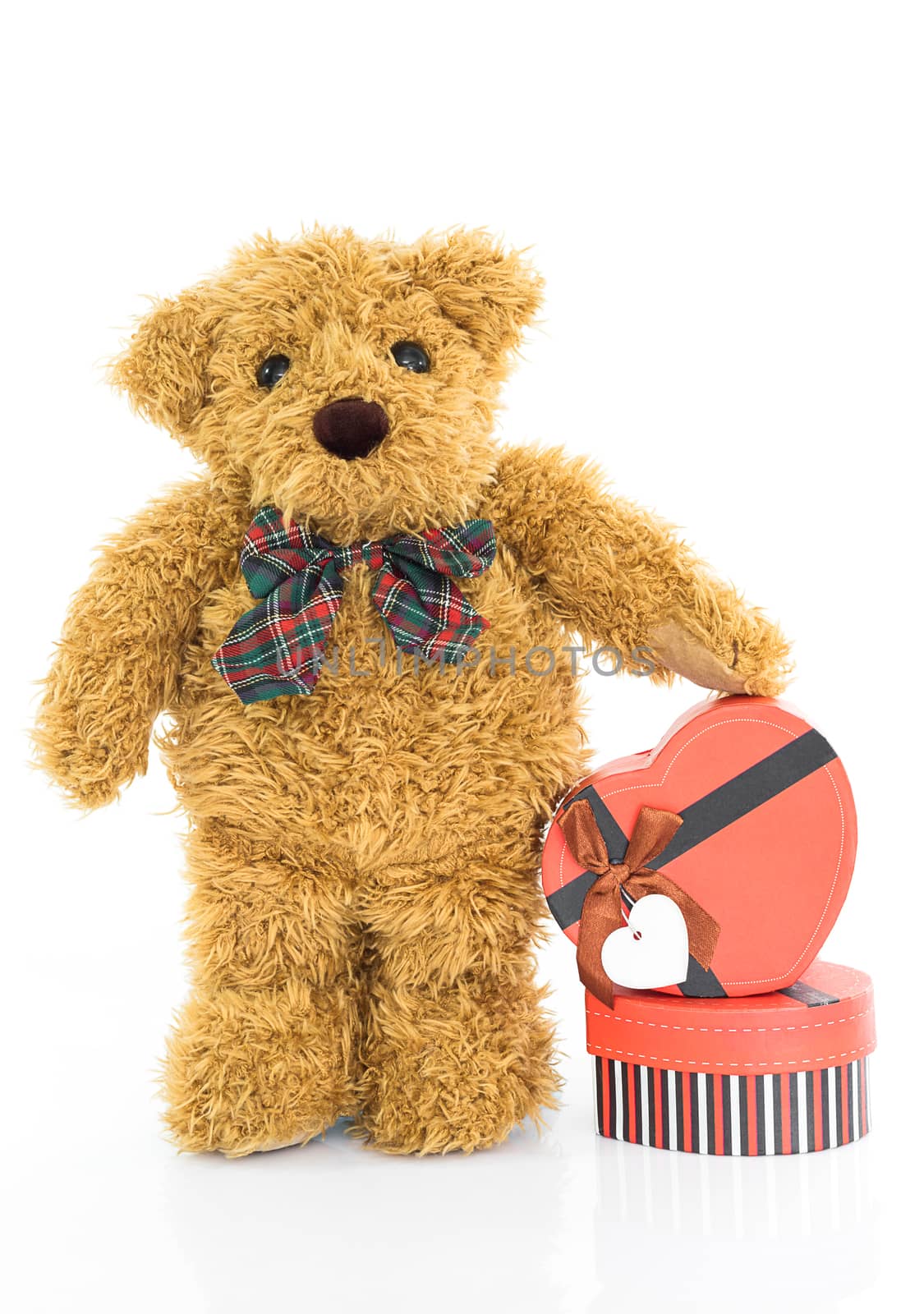 Teddy bear with 
Red heart shaped gift box on white background