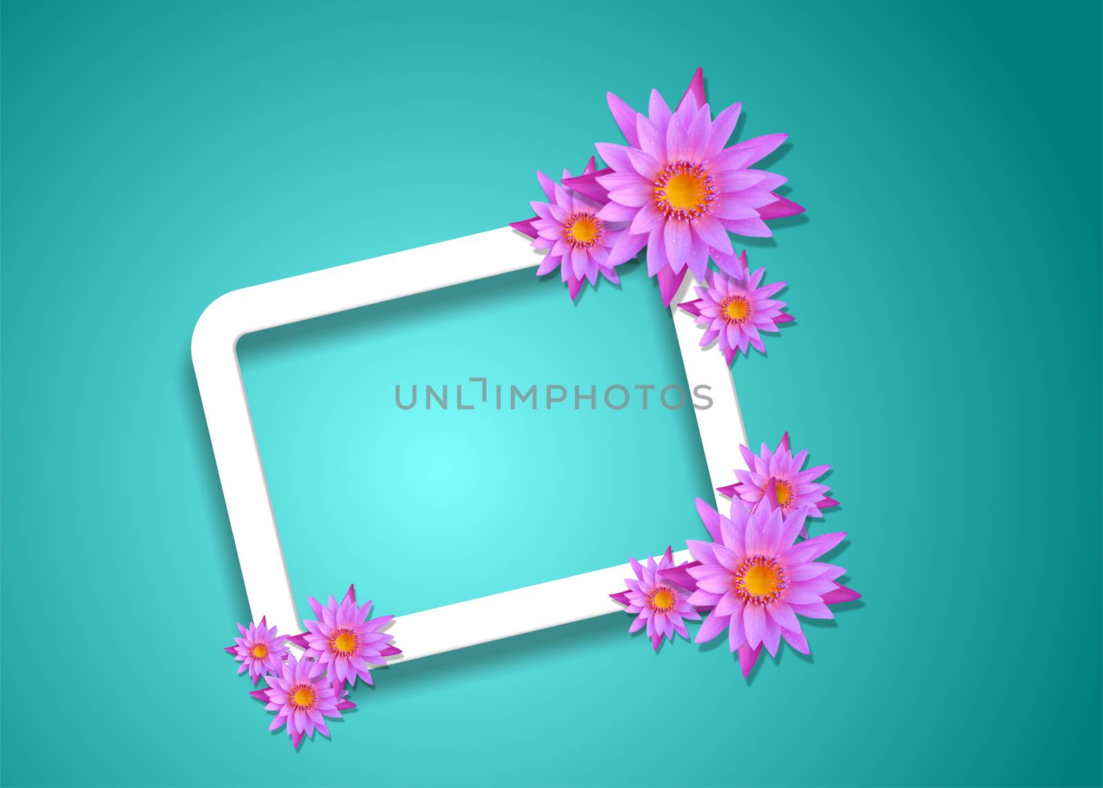 lotus with white frame paper background by bugning