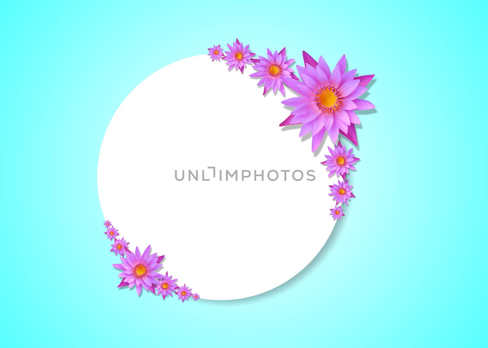 lotus white paper background by bugning