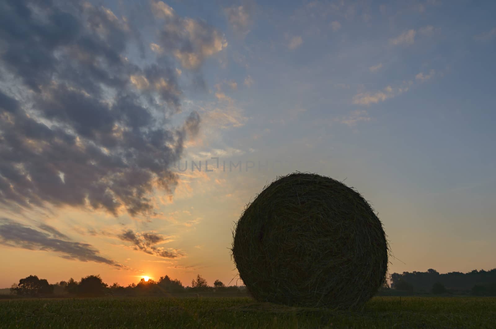 agricultural field, nature and agriculture farming series