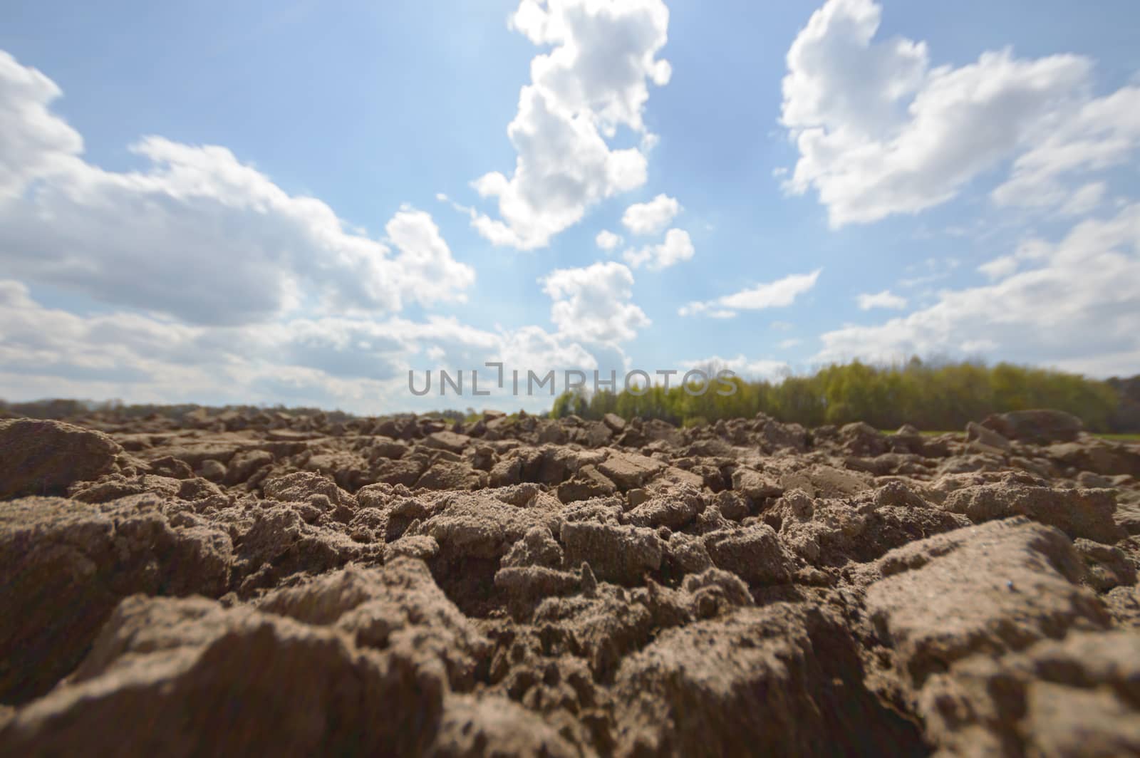 agricultural field, nature and agriculture farming series