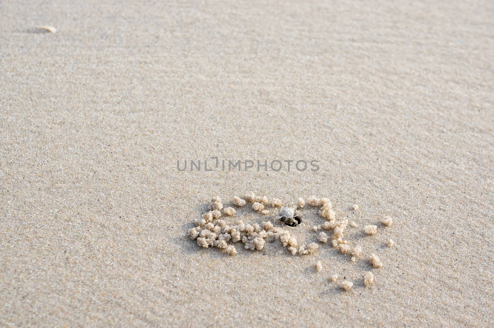 sand and the crab hole by seksan44