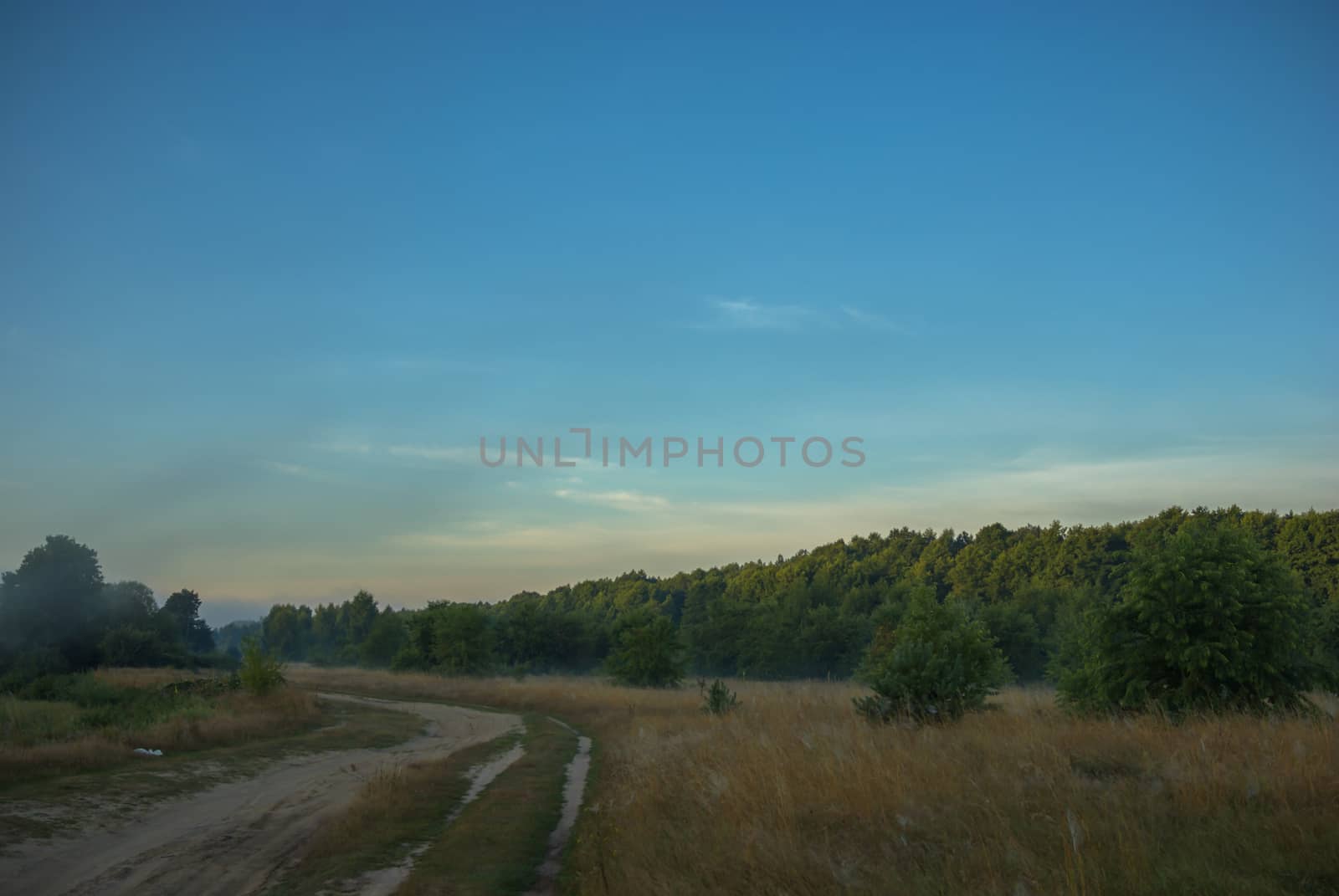 country road leading up to the horizon line , nature series