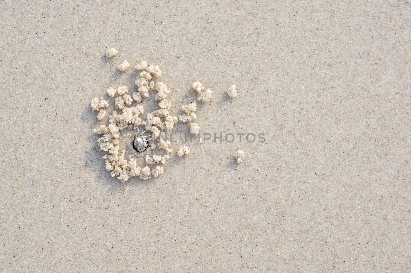 sand and the crab hole by seksan44