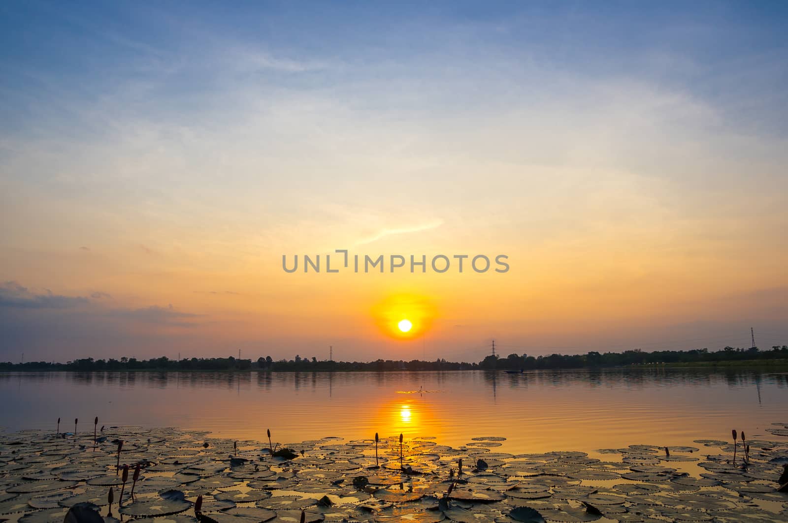 Sunset on the marsh. by seksan44