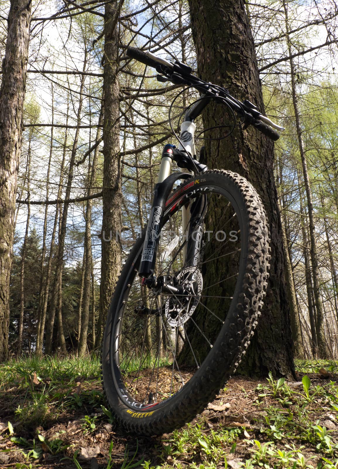 MYTISHCHI, RUSSIA - APRIL 26, 2016: Bicycle in spring forest during a bike ride