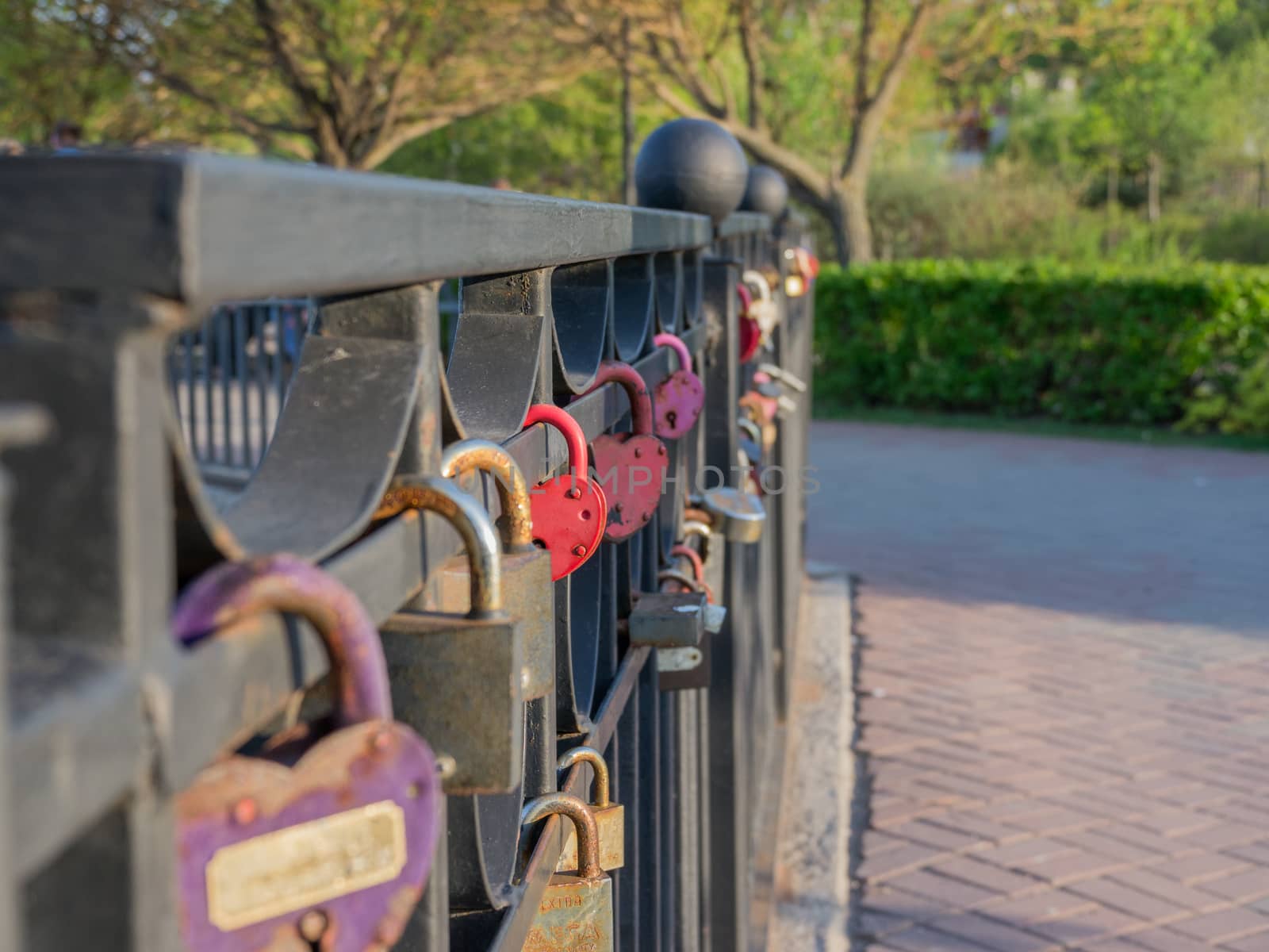 Locks on the fence of the bridge