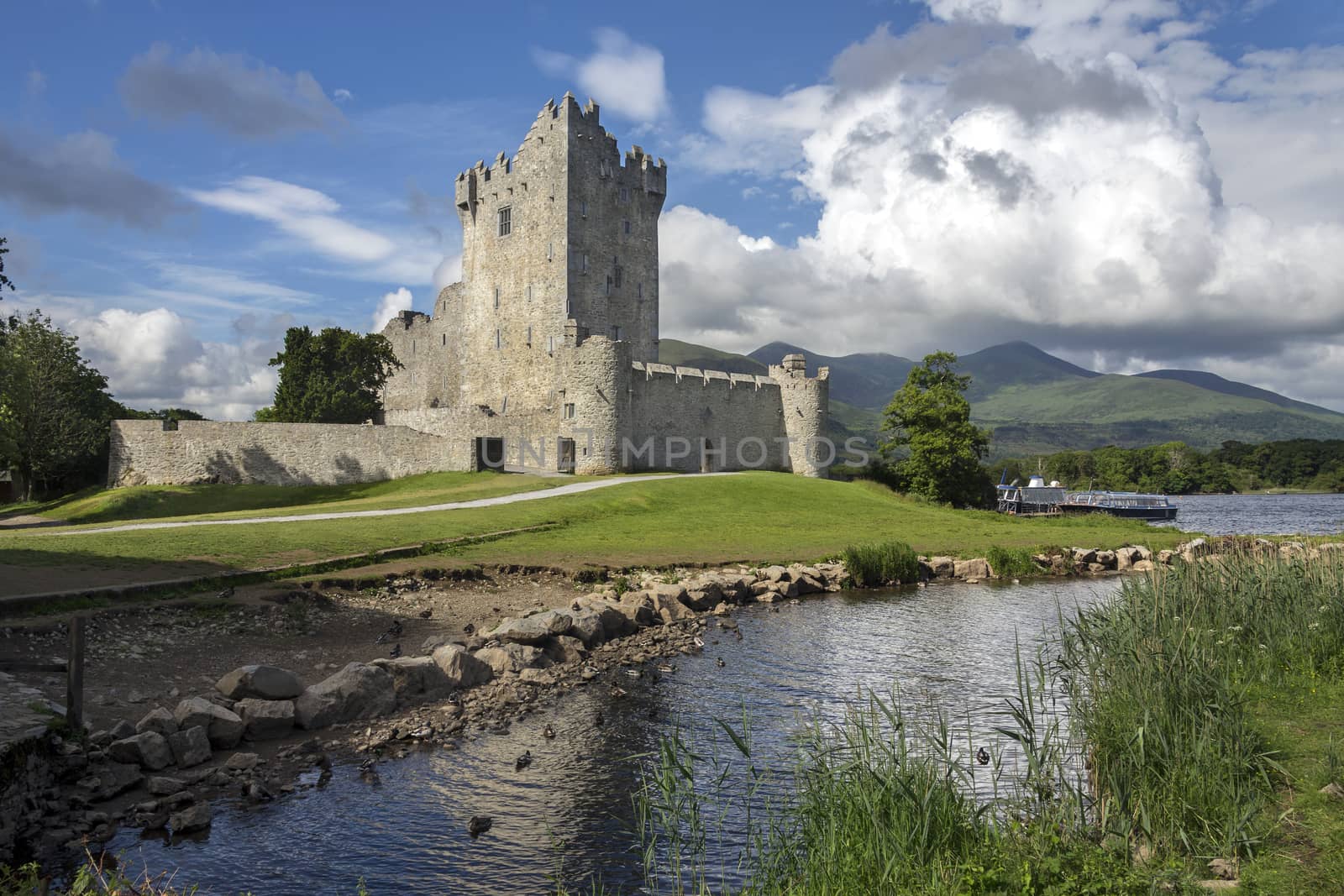 Ross Castle is a 15th-century tower house and keep on the edge of Lough Leane, in Killarney National Park, County Kerry in the Republic of Ireland It is the ancestral home of the O'Donoghue clan.