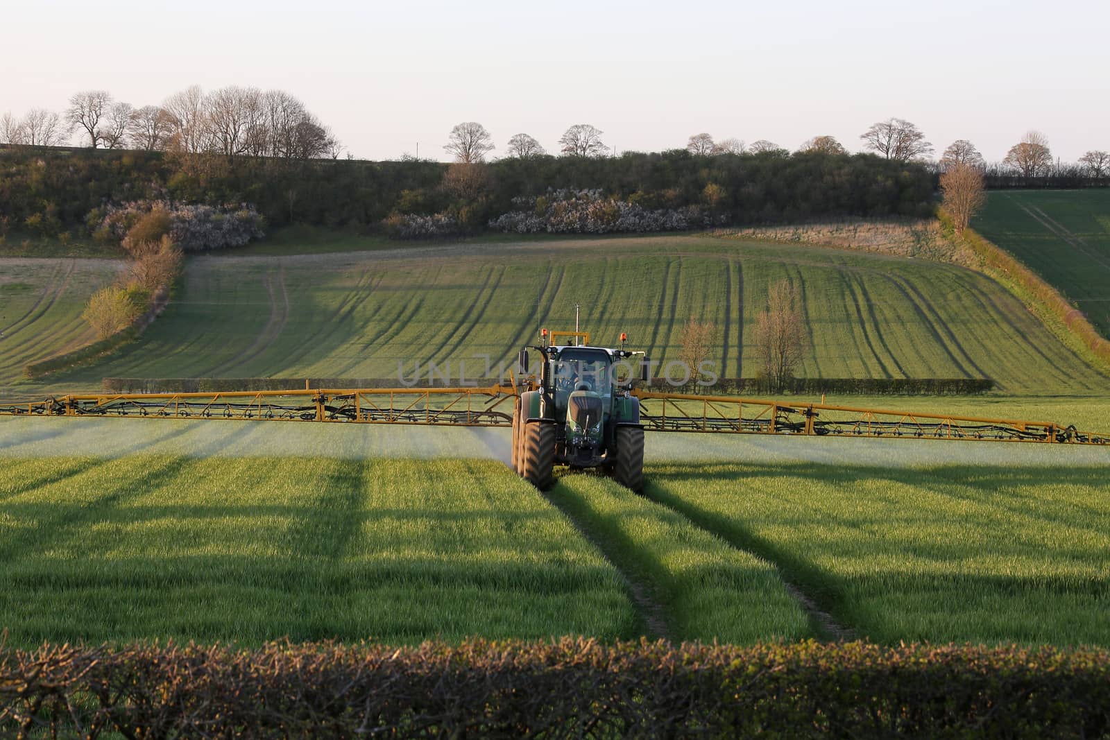Agriculture - A farmer spraying fertilizer on his crops - North Yorkshire - England.