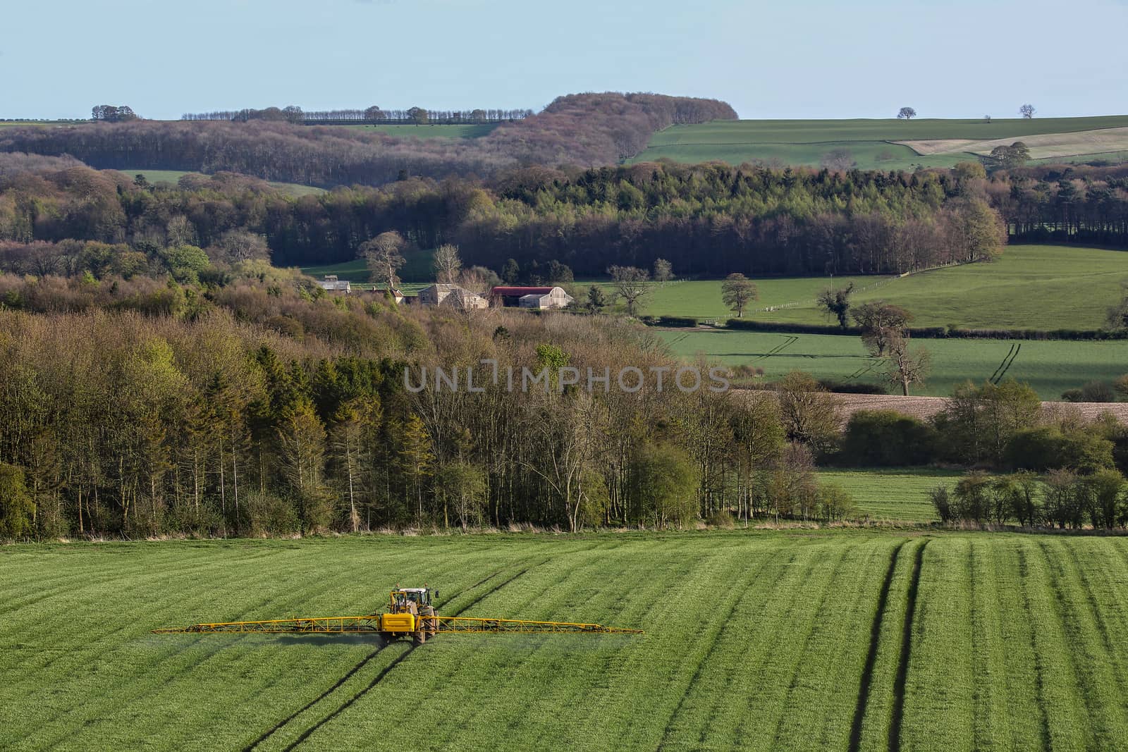 Agriculture - Spraying fertilizer on wheat crop in the North Yorkshire countryside - England.
