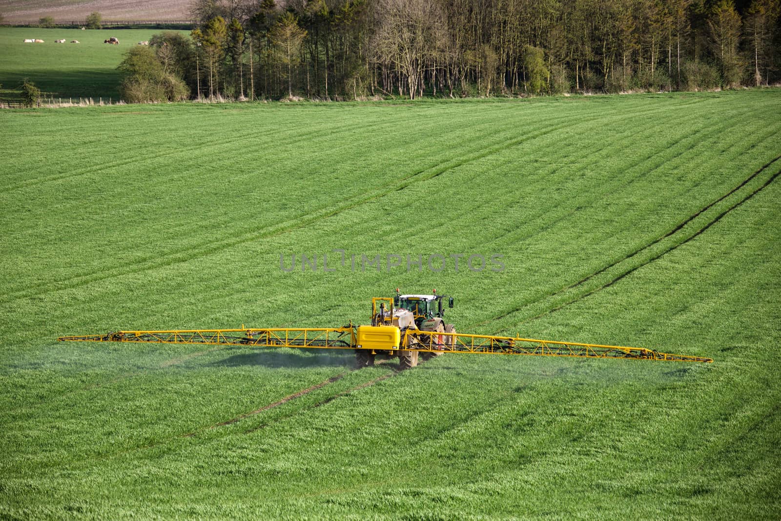 Agriculture - Spraying fertilizer on wheat crop - North Yorkshire - England.