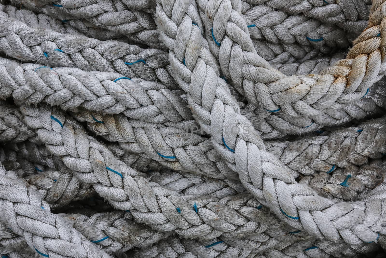 Coils of strong rope by SteveAllenPhoto