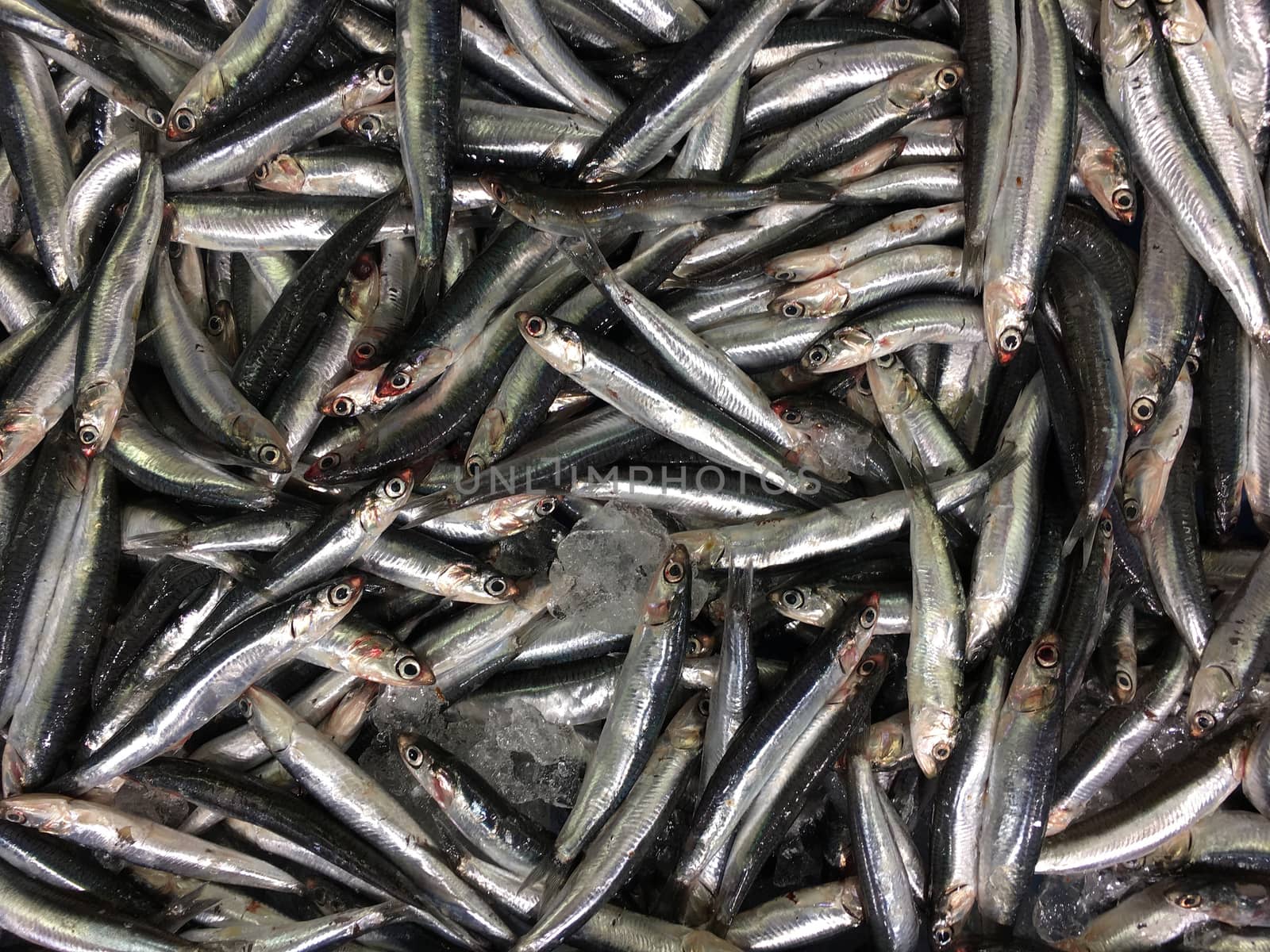 Sprats - Fish for sale on a market stall by SteveAllenPhoto