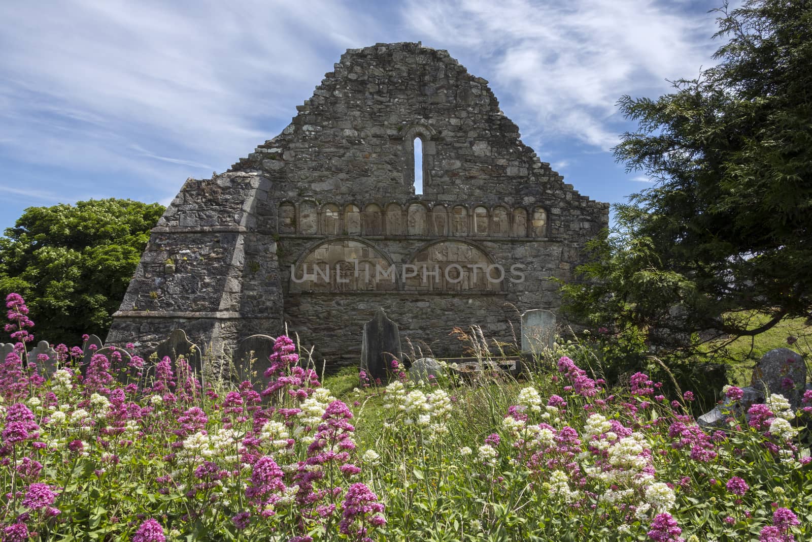 The ruins of Ardmore Cathedral, County Waterford in the Republic of Ireland. On a hill above the village of Ardmore is the ruins of a Cathedral dating from the 13th and and an oratory dating from the 8th centuries. The outer walls of the Cathedral features some stone carvings retrieved from an earlier 9th century building. The carvings include a very early image of a harp, images of Adam and Eve in the garden and a representation of Solomon's judgement.