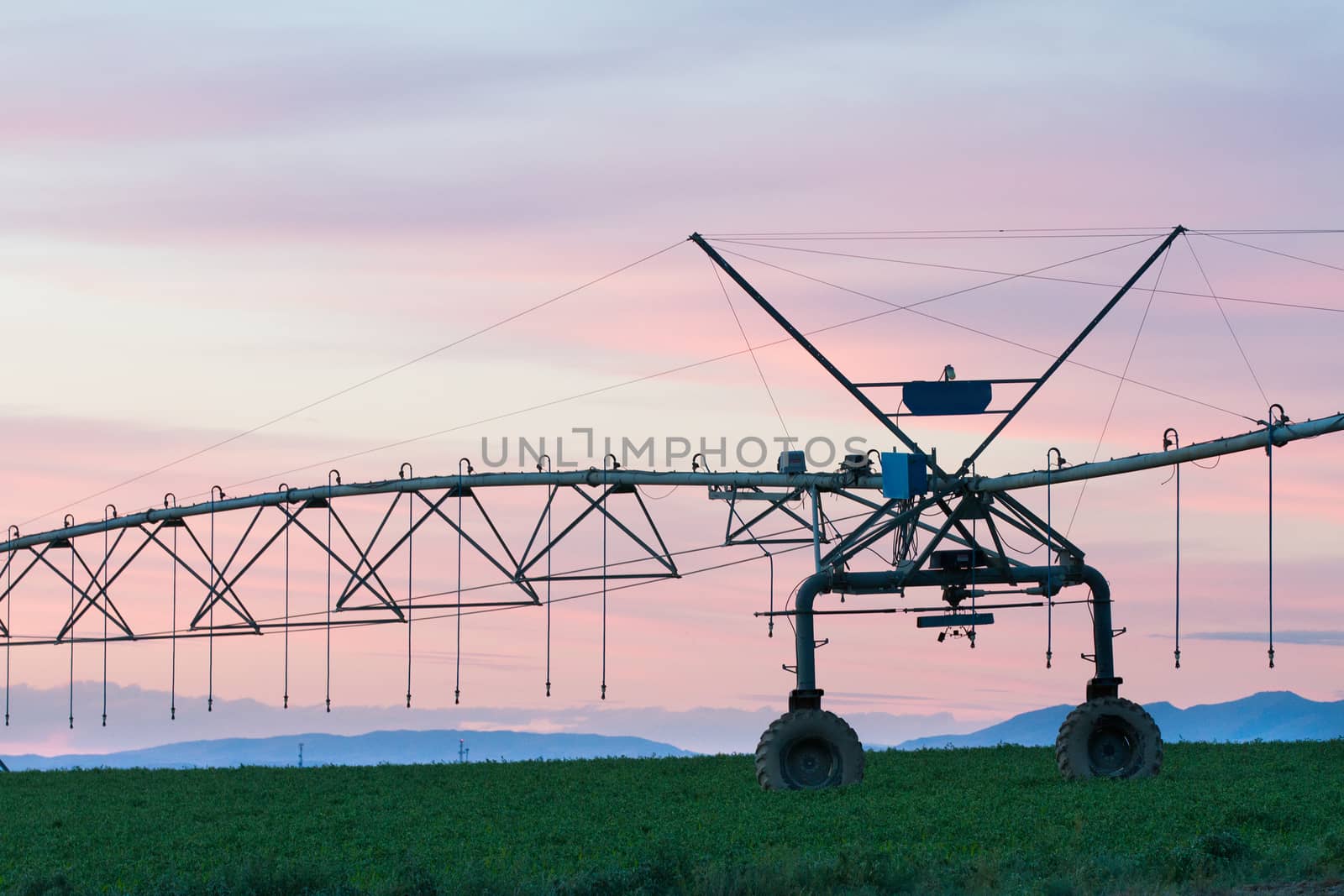 getting the crops to grow a sprinkler is on the farm