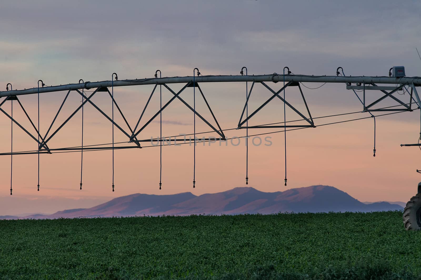 mountains make a scenic backdrop to the crops of the farm