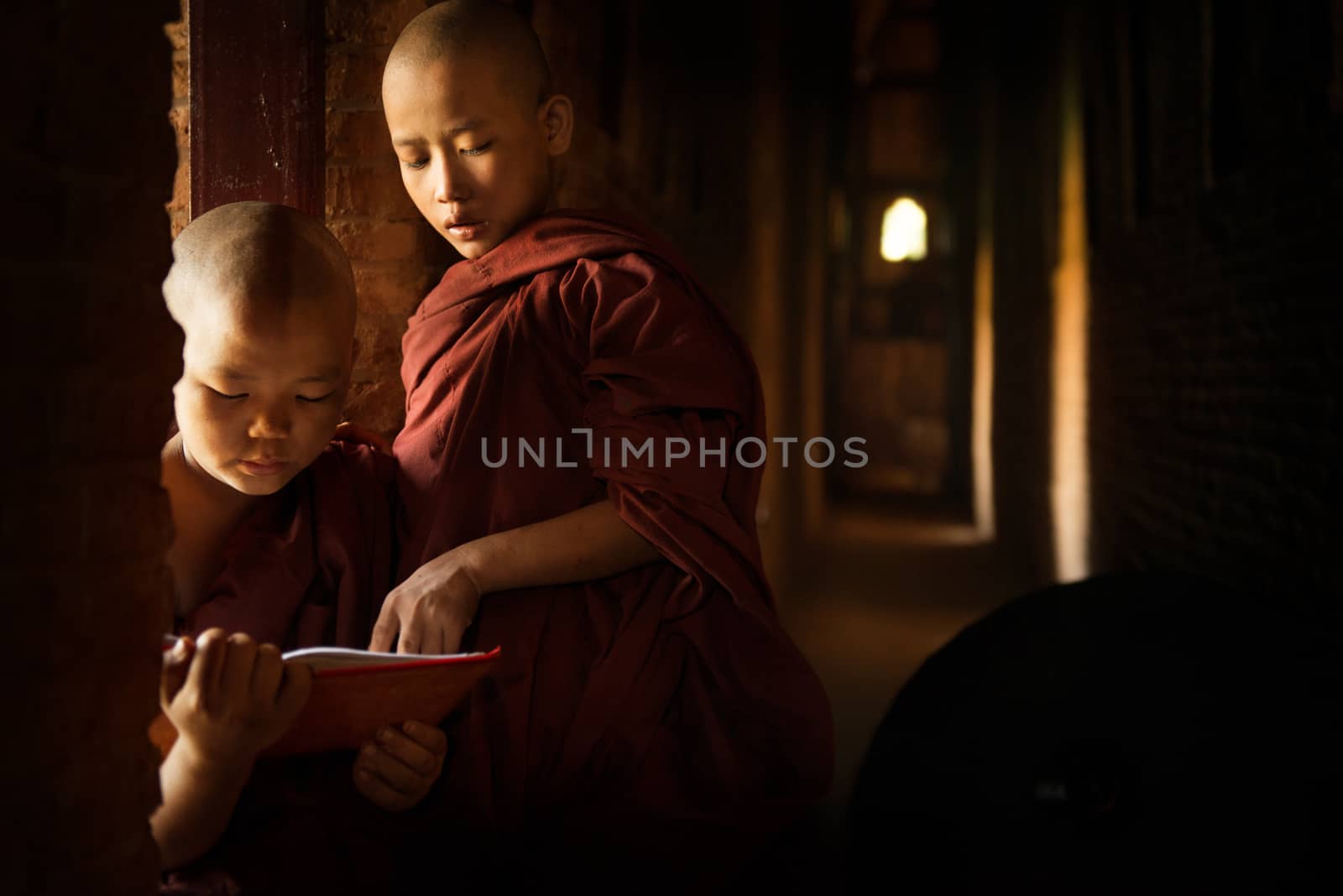 Young Buddhist novice monk reading in monastery with beautiful natural sunlight from window. Buddhist teaching, Myanmar.