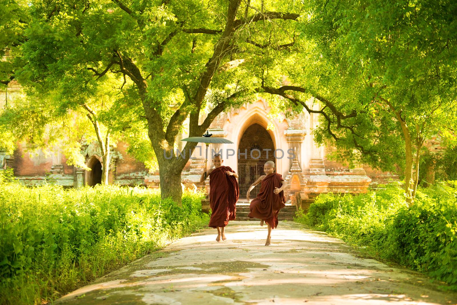 Two little Buddhist novice monks running outdoors under shade of green tree, outside monastery, Myanmar.