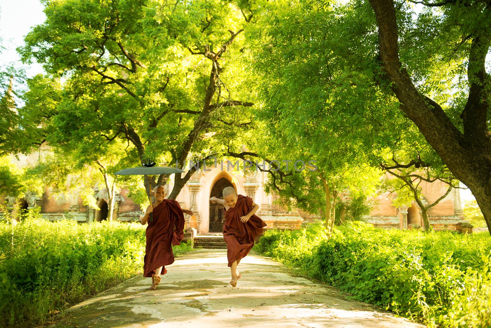 Two little playful Buddhist novice monks running outdoors under shade of green tree, outside monastery, Myanmar.