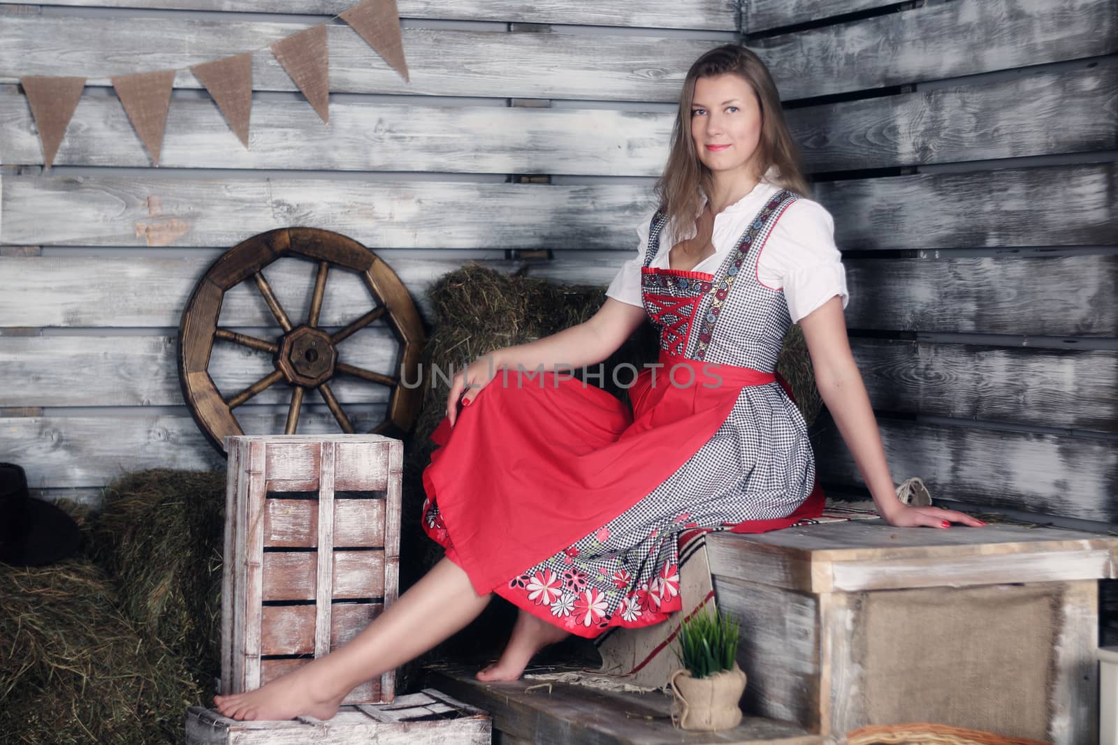 Beautiful woman in traditional german dress on hay