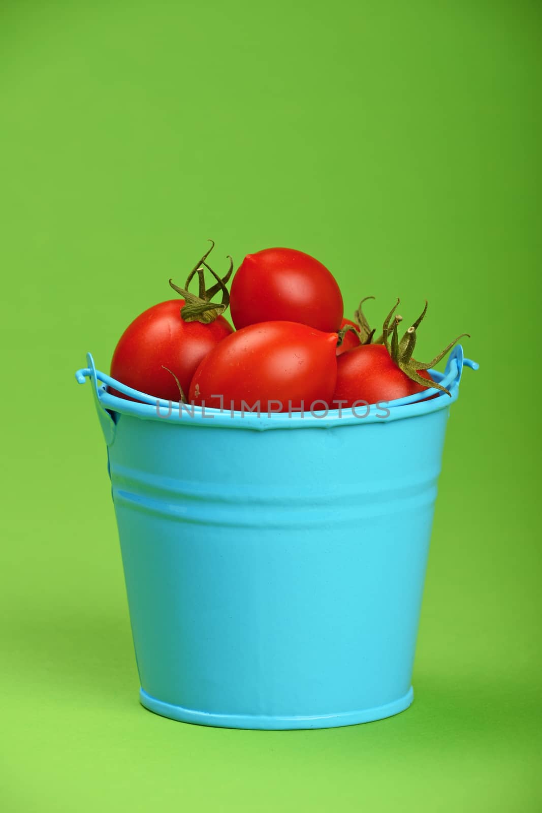 Small disproportional blue bucket of red cherry tomatoes over green background, close up