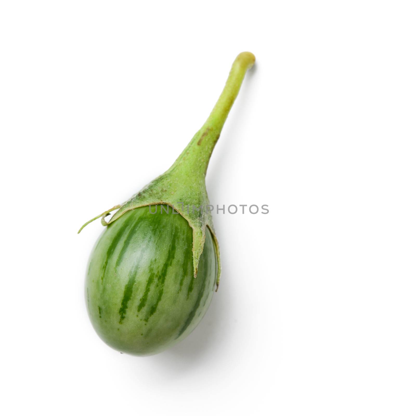 eggplant isolated on white by antpkr
