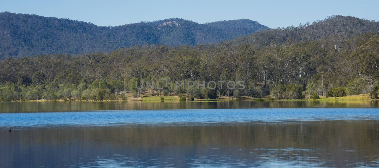 Lake Manchester in Queensland during the day. Located on the southwest corner of Brisbane Forest Park.