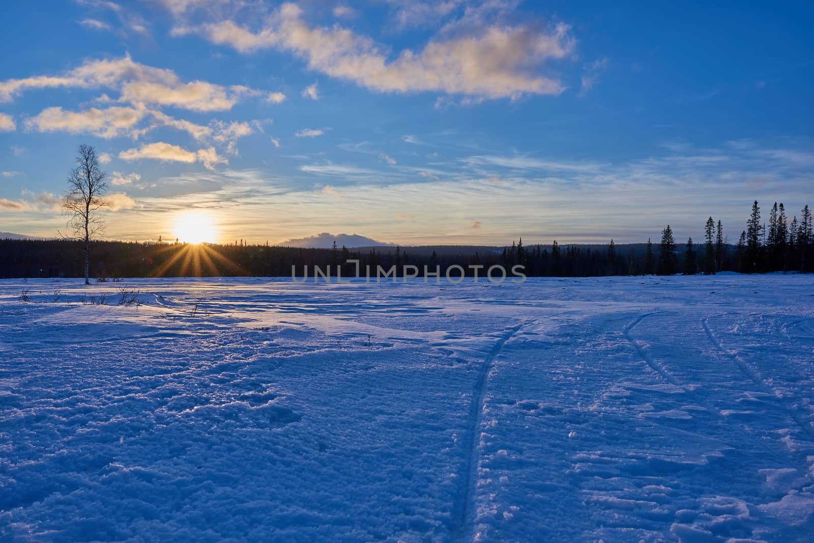 A cold winter landscape at sunset in Sweden.