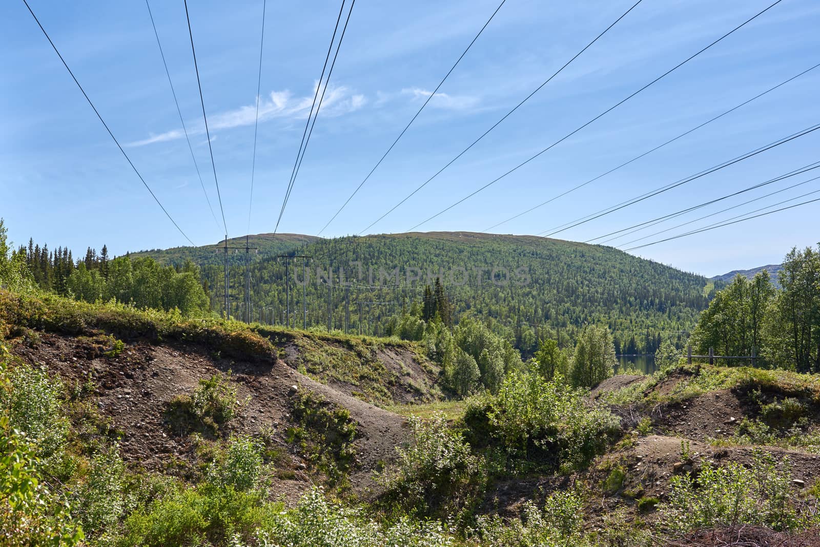High voltage power lines into the forest. Overhead shot.