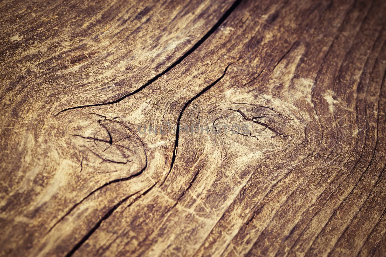 detail retro wooden board with two knots in