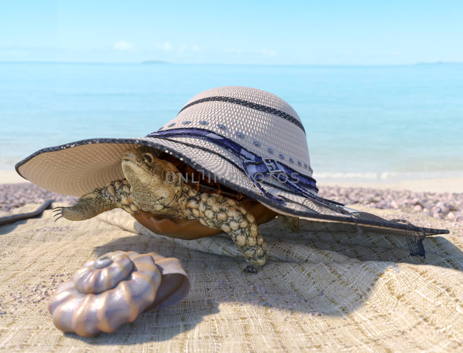 relaxing vacation concept background with seashell, turtle and beach accessories by denisgo