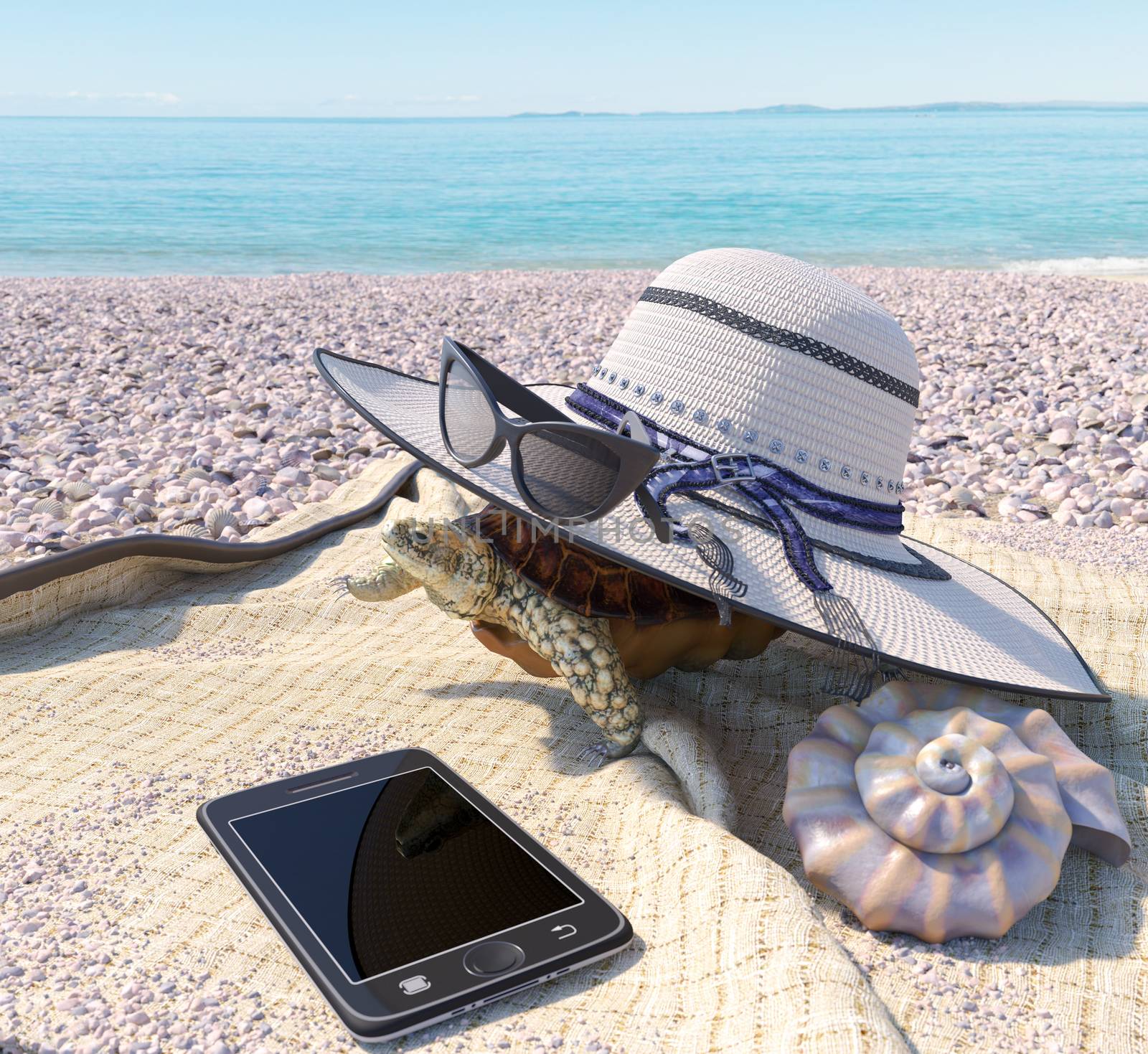 relaxing vacation concept background with seashell, turtle and beach accessories by denisgo