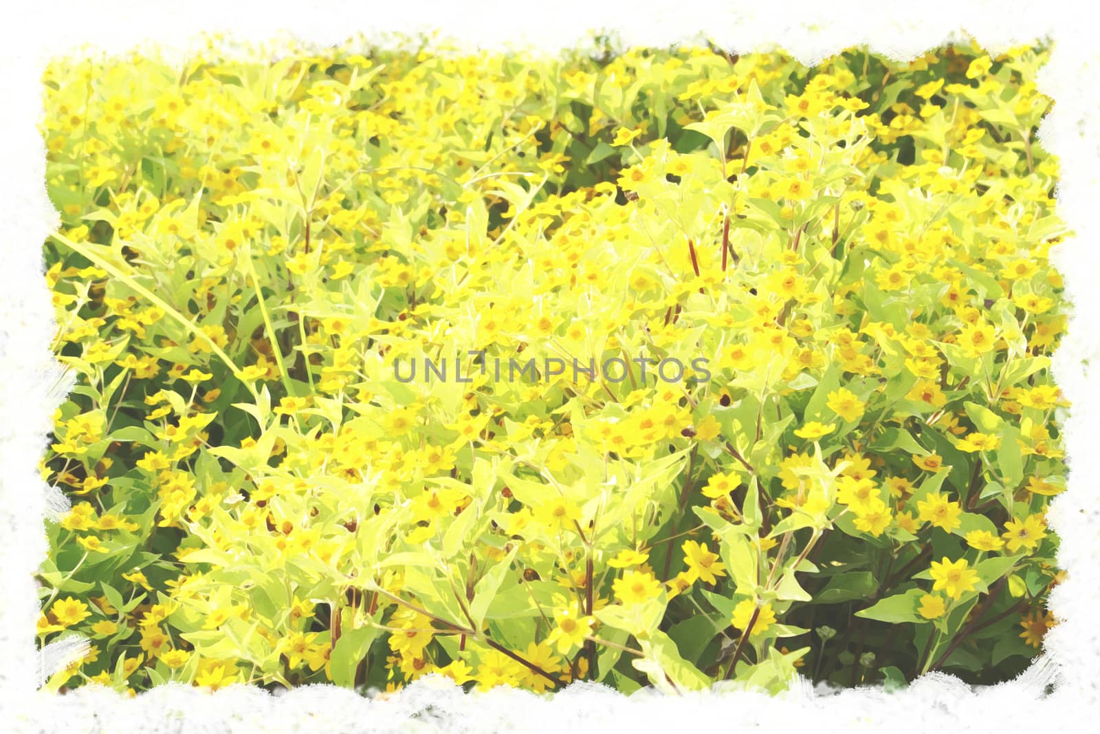 Postcard art concept yellow flowers water paint background