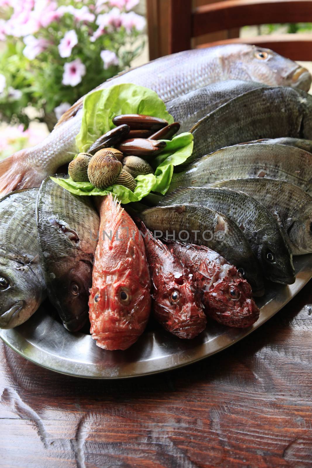 Fresh fish onon a metal tray for sale