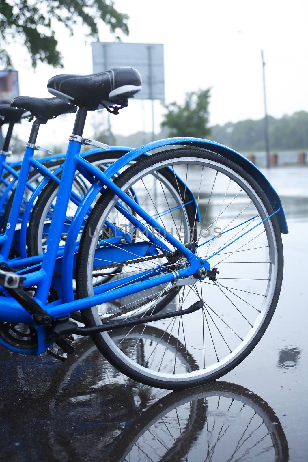 Urban scene. Wet bicycles on parking under rain