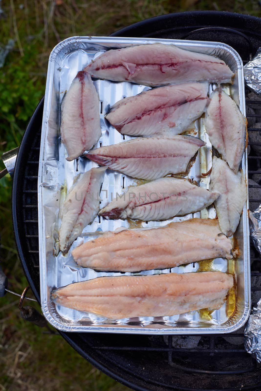 Grilling freshly caught trout and mackerel fillet outside.